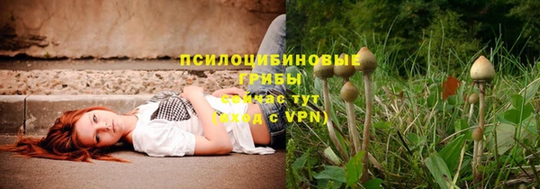 прущий лед Кукмор