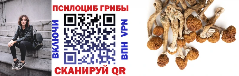 hydra зеркало  Малмыж  Галлюциногенные грибы Magic Shrooms 